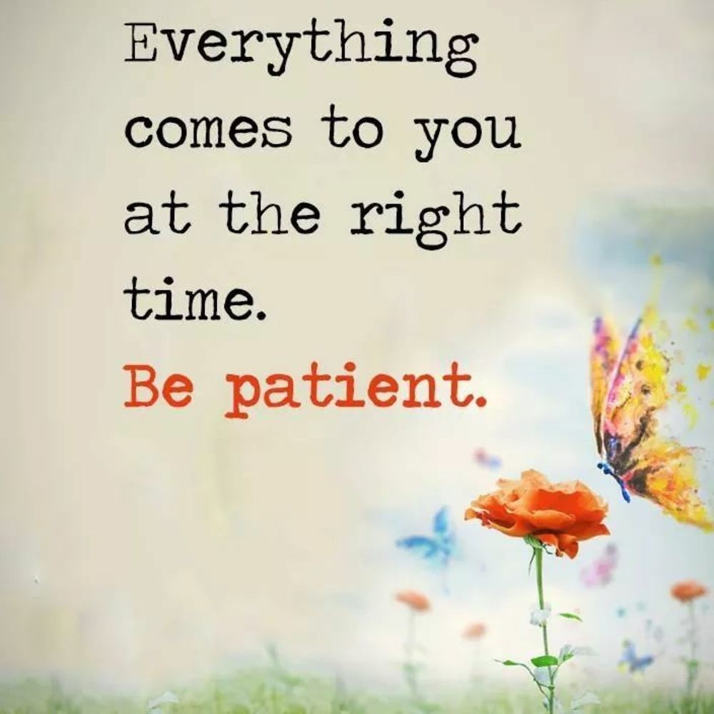 Meet your Posher, Rose